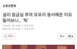 설리는 착하다