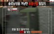 (사진有)키스방가는 남자부류