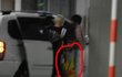 태연 백현말고 이특