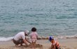 우리집 사고뭉치들을 소개합니다.11