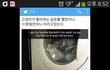 고양이 이불을 빨면 안되는 이유