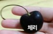 심장주의)한입베어먹은체리