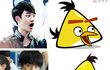 엑소 디오 닮은꼴.jpg