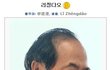 동안甲