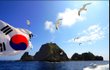 독도는 누구땅입니까?(사진有, 영상有)
