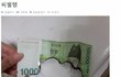 만원을 홀랑 태워버린 고양이 벌주기