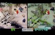 SBS 세상에 이런일이 노무현 합성사진이 또올라왔네요