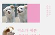 [나주천사의집/믹스견] 아픔에도 웃음을 잃지않는 예삐의 평생가족을 찾습니다.