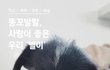 [나주천사의집/믹스] 똥꼬발랄, 별이와 평생 함께 해주실 분을 찾아요.