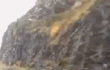 곰만났을때 도망가지말아야할이유.gif