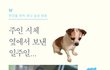 [나주천사의집/믹스] 주인 시체 옆에서의 일주일, 영호의 아픔을 보듬어주세요.