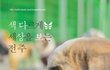 [나주천사의집/믹스] 오드 아이 '전주'의 크리스마스의 기적을 바래 봅니다.