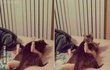 오빠 누가 보자나
