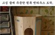 박스를 삿더니 캣타워가 공짜.jpg