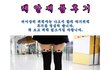 [진심개빡침] 어느흔한 스타킹 쇼핑몰 구매후기