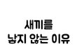 나이든 사람들 요즘 젊은이들..