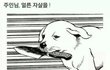 여자를 보는 남녀 시각차이