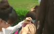 발라 주는 척하면서