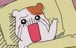 씨씨인데 조언좀주세요ㅠㅠ
