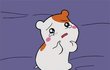 재수 조언좀해줄분ㅠㅠㅜ??흙