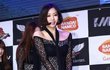 검스의 향연