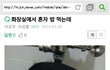 헐 나 지식인보다가 울뻔....