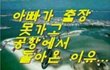 수지 놀라운 변천사