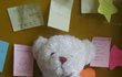 인형이름지어줰ㅋㅋ