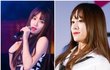 표정이 살아있는 하니!!