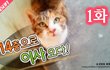 1화 - 14층으로 이사 오다!_시즌2 