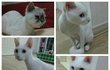 분양...어디가 좋을까요..ㅠㅠ