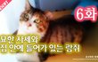6화 - 람쥐의 묘한 자세와 표정_시즌2