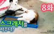 8화 - 스크래처를 사주다!_시즌2