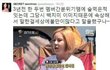 한선화 정하나 뭘까