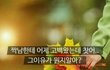 모씨망했네ㅋㅋㅋㅋㅋㅋㅋㅋ(추가함!