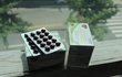 panax pharm polikrill 호주 rosyd 