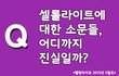 셀롤라이트에 대한 소문, 진실 OR 거짓!