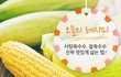 광고아냐) 옥수수 맛있게 쪄먹기
