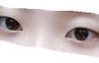 쌍수 조언좀