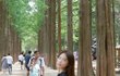 나 키 몇에 몸무게 몇같아?