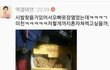 오빠 옷장을 열었더니