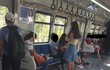 사진)4호선 맘충