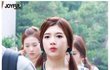 ㅋㅋ헐 조이 이거 진짜임?