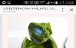 녹차잼이라니 세상에
