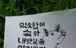 다이어트 자극