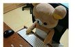 주갤럼이 알바생에게 주는 조언