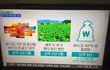 라면 10개 절도 = 497억 횡령