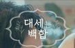 대세는 백합