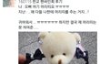 머리띠를 왜 많이 받는지 모르는 아이돌