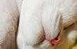 뽀뽀